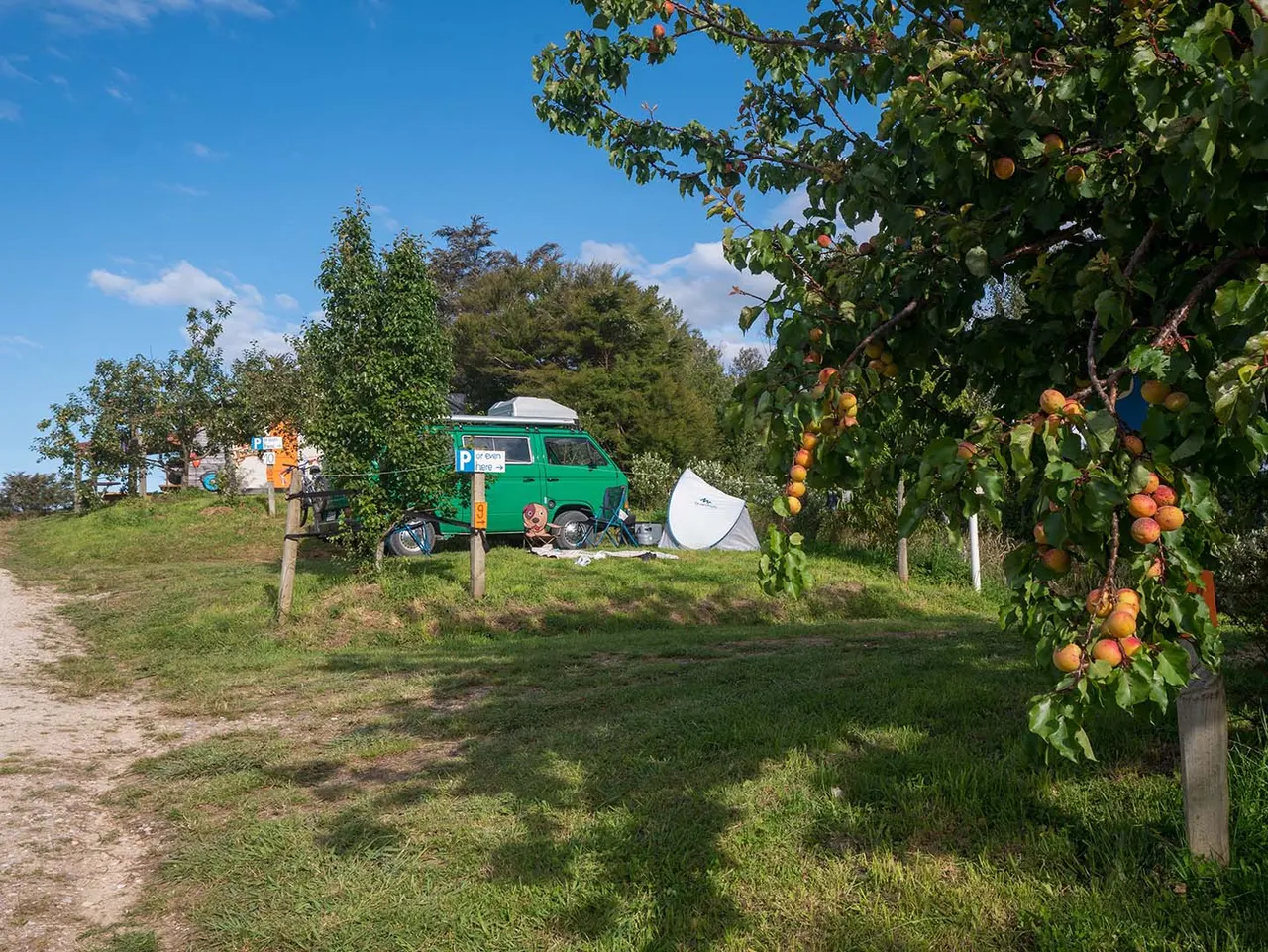 Camping in Golden Bay