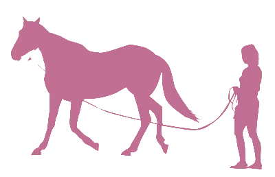 Horsemanship Lessons