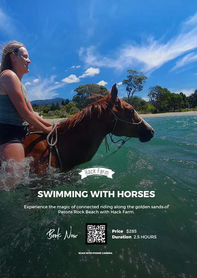 Swimming / Playing with Horses in the Water