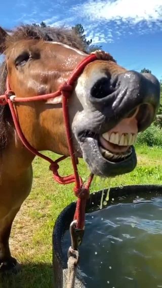 Manuka having fun🤠 #havingfuninthesun☀️