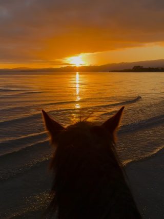A beautiful sunrise ride!!☀️🌅☀️#sunrise...